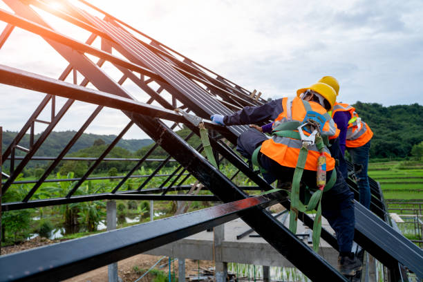 Best Roof Maintenance Services  in Langdon, ND
