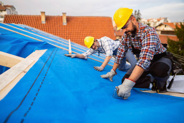 Best Slate Roofing Contractor  in Langdon, ND