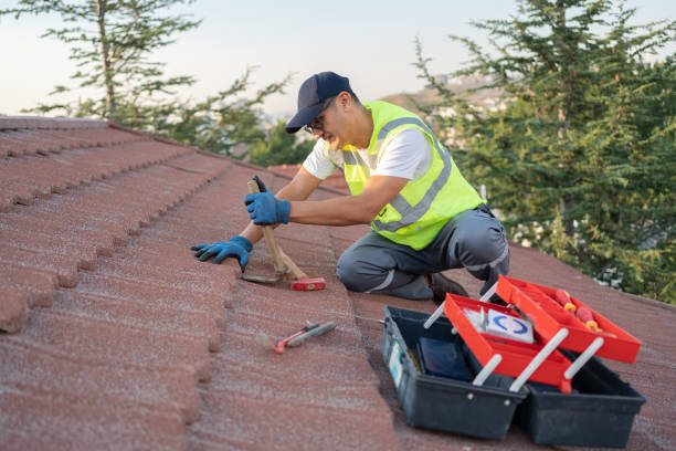Best Commercial Roofing Services  in Langdon, ND
