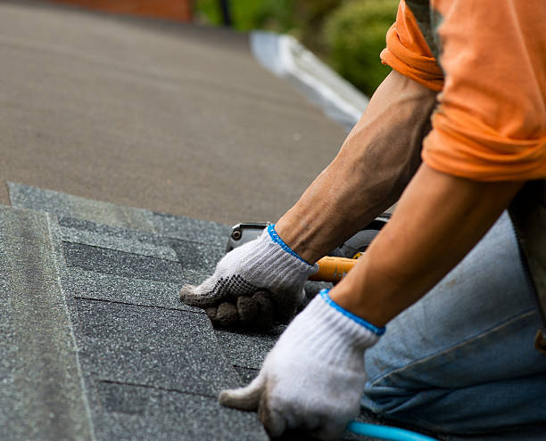 Best Roof Gutter Cleaning  in Langdon, ND