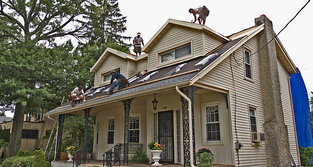 Best Residential Roofing Contractor  in Langdon, ND