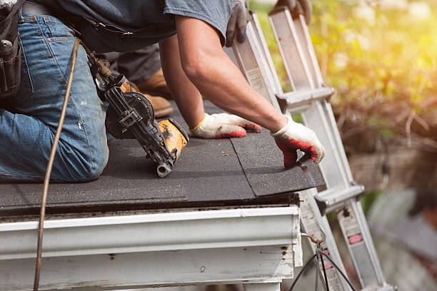 Best Best Roofing Contractors  in Langdon, ND