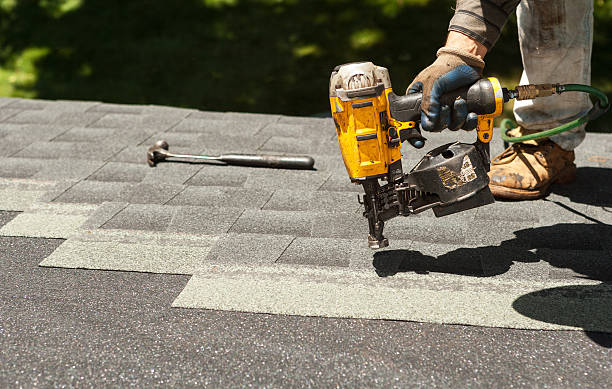 Best Local Roofing Companies  in Langdon, ND