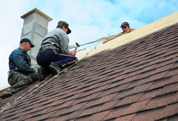Best New Roof Installation  in Langdon, ND