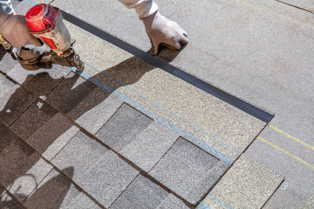 Best Roof Leak Repair  in Langdon, ND